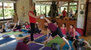 Szkoła Hath Jogi Anusara; Anusara yoga; Szkoły jogi