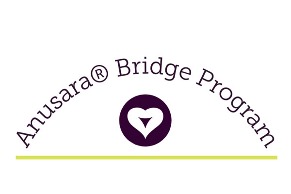 Programma Bridge